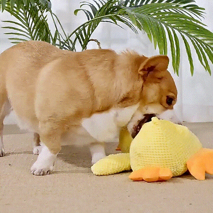 Juguete Antiestrés para Perros