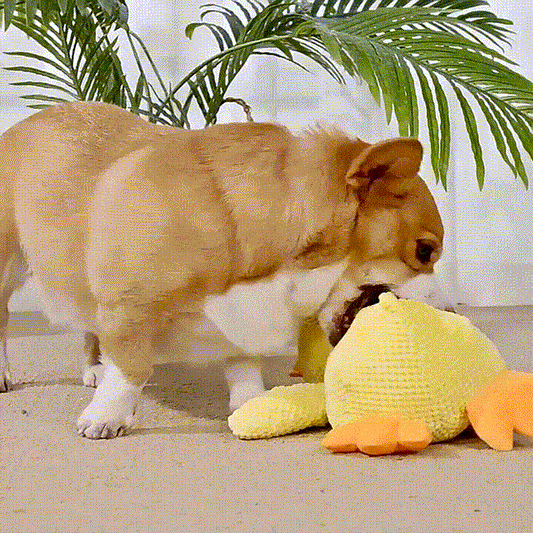 Juguete Antiestrés para Perros